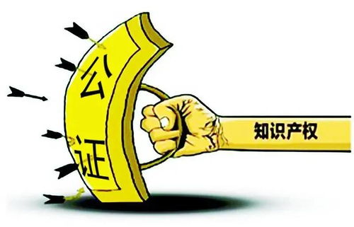 證據(jù)固定不再愁，天津公證解煩憂——技術(shù)推廣服務(wù)助力企業(yè)創(chuàng)新發(fā)展